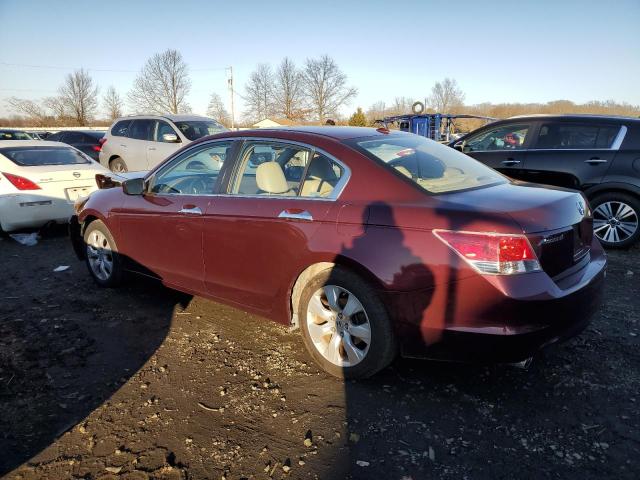 1HGCP36838A009953 - 2008 HONDA ACCORD EXL MAROON photo 2