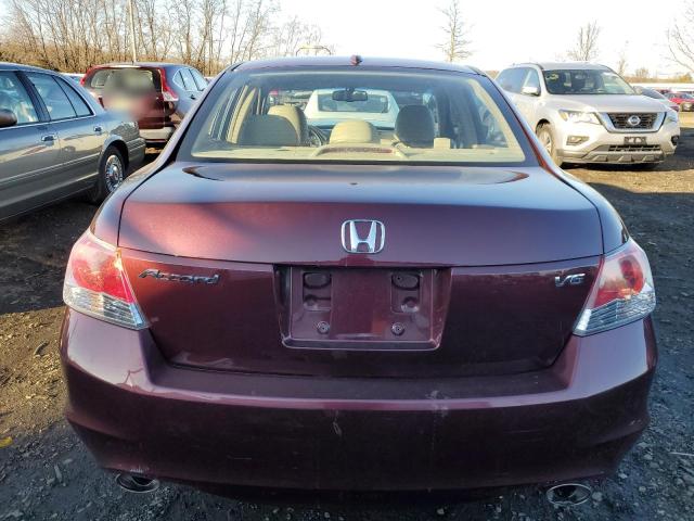 1HGCP36838A009953 - 2008 HONDA ACCORD EXL MAROON photo 6