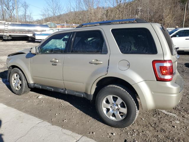 1FMCU9EG1BKC65833 - 2011 FORD ESCAPE LIMITED GOLD photo 2