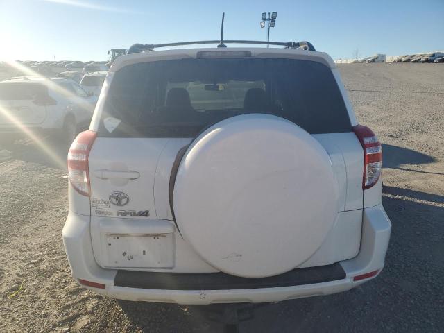 JTMZF4DV0A5026492 - 2010 TOYOTA RAV4 WHITE photo 6