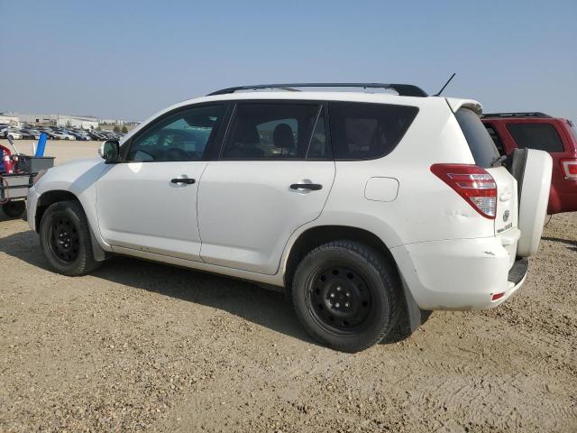 2T3BK4DV6AW019536 - 2010 TOYOTA RAV4 WHITE photo 2