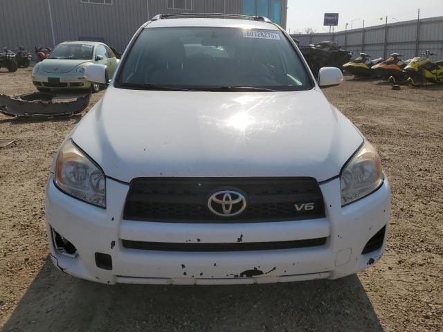 2T3BK4DV6AW019536 - 2010 TOYOTA RAV4 WHITE photo 5
