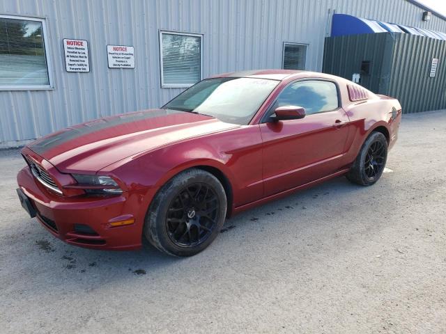 1ZVBP8AMXE5325492 - 2014 FORD MUSTANG RED photo 1