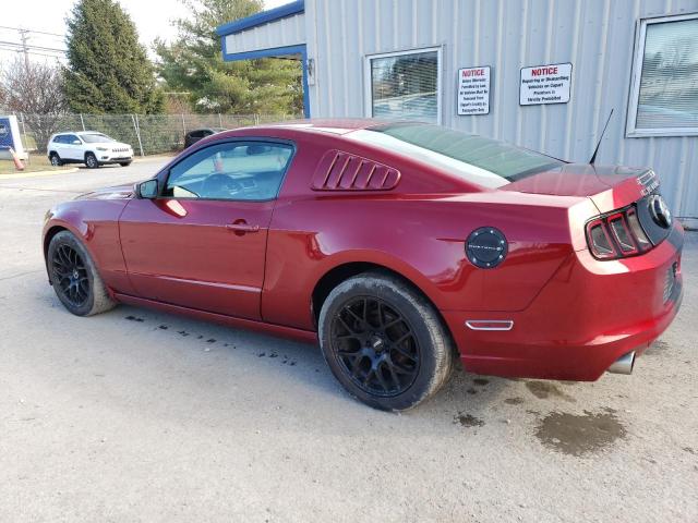 1ZVBP8AMXE5325492 - 2014 FORD MUSTANG RED photo 2