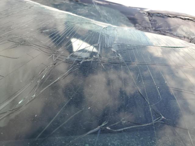 5FNYG1H48RB025741 - 2024 HONDA PILOT EXL 蓝色 照片 20