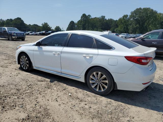 5NPE34AF3HH499155 - 2017 HYUNDAI SONATA SPORT WHITE photo 2