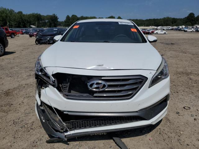 5NPE34AF3HH499155 - 2017 HYUNDAI SONATA SPORT WHITE photo 5