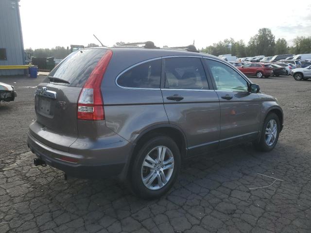 5J6RE4H5XAL016152 - 2010 HONDA CR-V EX CHARCOAL photo 3