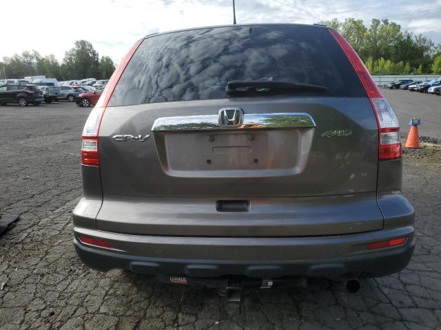 5J6RE4H5XAL016152 - 2010 HONDA CR-V EX CHARCOAL photo 6