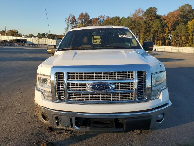 1FTFW1EV7AFC01668 - 2010 FORD F150 SUPERCREW WHITE photo 5