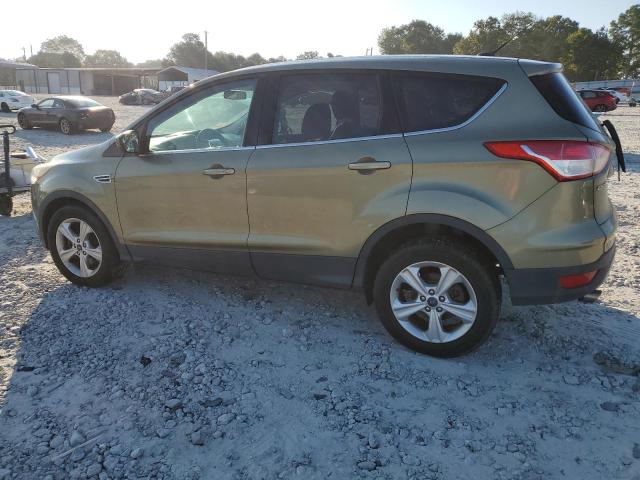 1FMCU9GX0DUD79732 - 2013 FORD ESCAPE SE Grün Foto 2