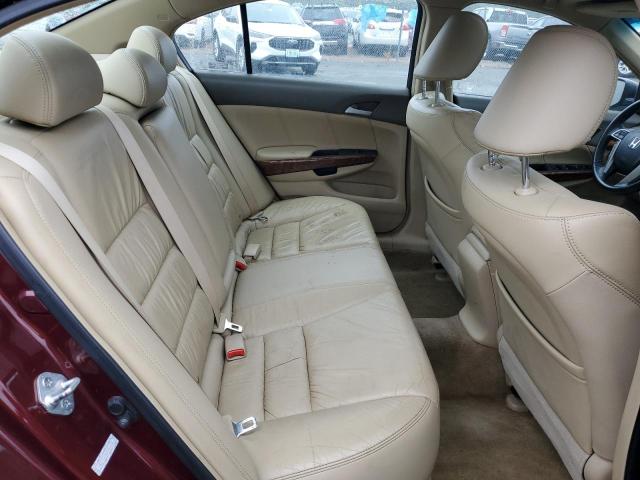 1HGCP36868A066602 - 2008 HONDA ACCORD EXL 勃艮第红 照片 10