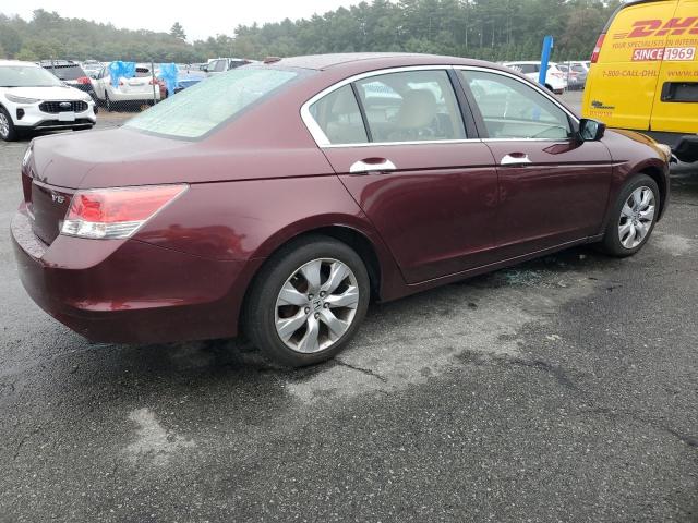 1HGCP36868A066602 - 2008 HONDA ACCORD EXL 勃艮第红 照片 3