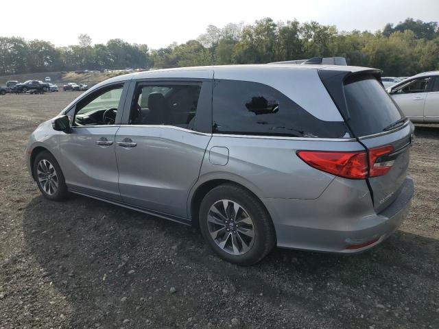 5FNRL6H68RB063436 - 2024 HONDA ODYSSEY EXL GRAY photo 2