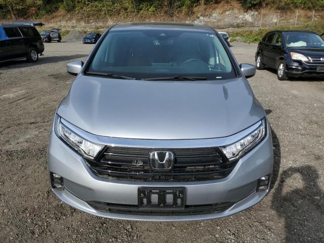 5FNRL6H68RB063436 - 2024 HONDA ODYSSEY EXL GRAY photo 5