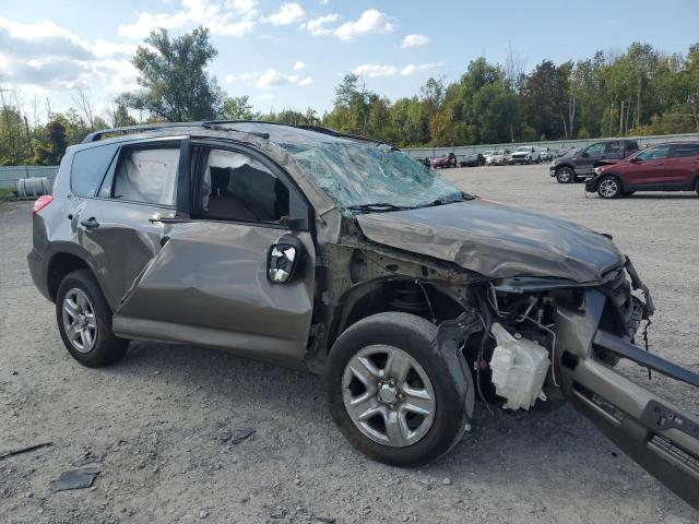 2T3BF4DV1AW065800 - 2010 TOYOTA RAV4 Qəhvəyi foto 4