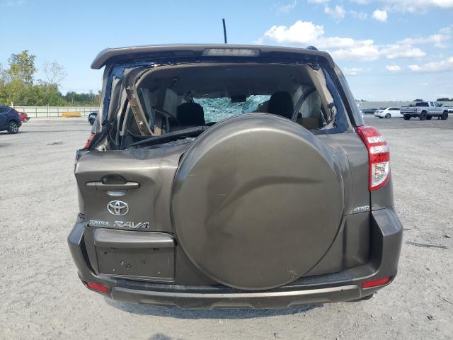 2T3BF4DV1AW065800 - 2010 TOYOTA RAV4 Qəhvəyi foto 6