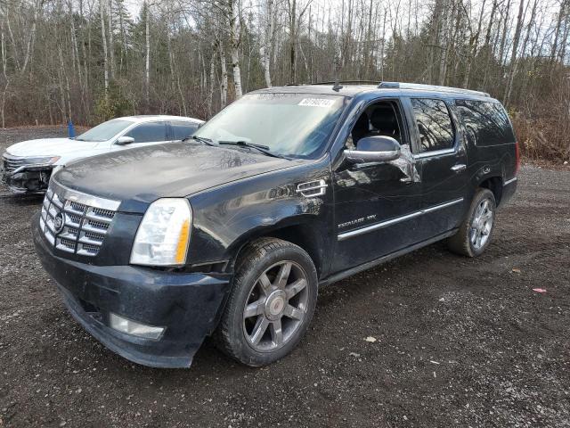 2011 CADILLAC ESCALADE ESV PREMIUM, 