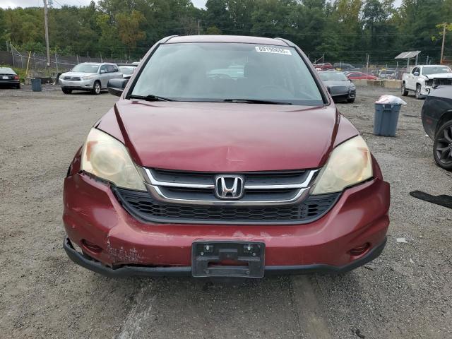 5J6RE4H35AL026912 - 2010 HONDA CR-V LX BURGUNDY photo 5