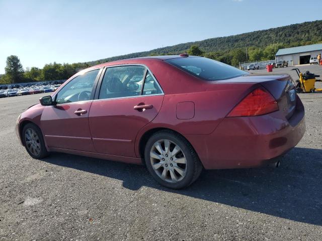 1HGCM66596A061231 - 2006 HONDA ACCORD EX Bordo foto 2