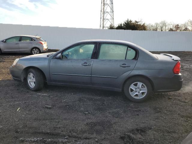 1G1ZT54884F230568 - 2004 CHEVROLET MALIBU LS GRAY photo 2