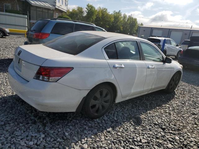 1HGCP2F77AA805287 - 2010 HONDA ACCORD EX თეთრი ფოტო 3