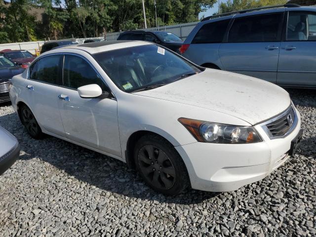 1HGCP2F77AA805287 - 2010 HONDA ACCORD EX თეთრი ფოტო 4