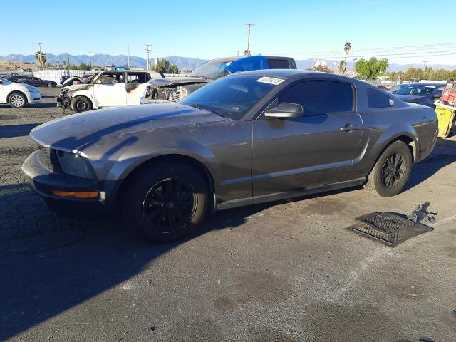1ZVFT80N555163861 - 2005 FORD MUSTANG GRAY photo 1