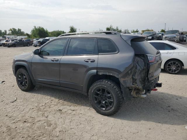 1C4PJMBX0KD311260 - 2019 JEEP CHEROKEE TRAILHAWK 灰色 照片 2