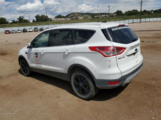 1FMCU9GX2DUD56680 - 2013 FORD ESCAPE SE 白色 照片 2