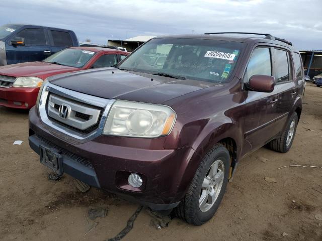 5FNYF4H51AB016865 - 2010 HONDA PILOT EXL BURGUNDY photo 1