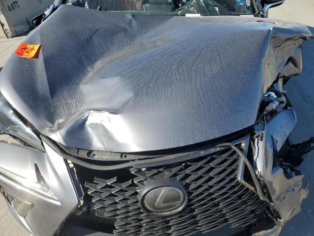 JTJYARBZ5K2117691 - 2019 LEXUS NX 300 BASE ნაცრისფერი ფოტო 12