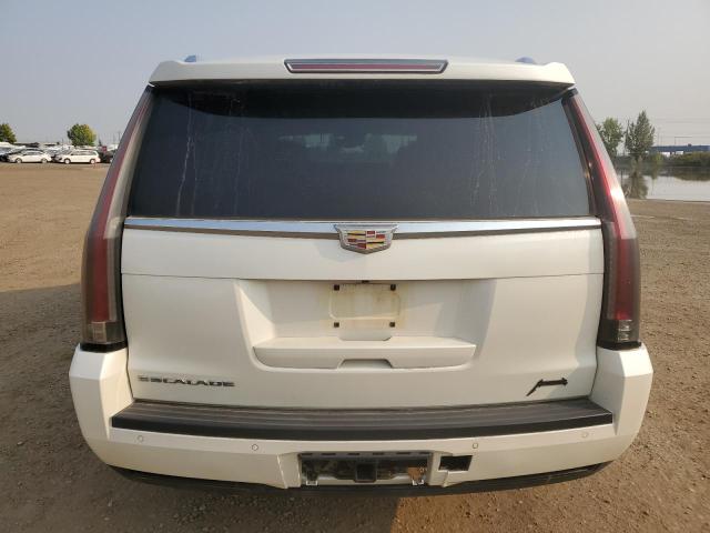 1GYS4TKJ6FR689092 - 2015 CADILLAC ESCALADE ESV PREMIUM თეთრი ფოტო 6