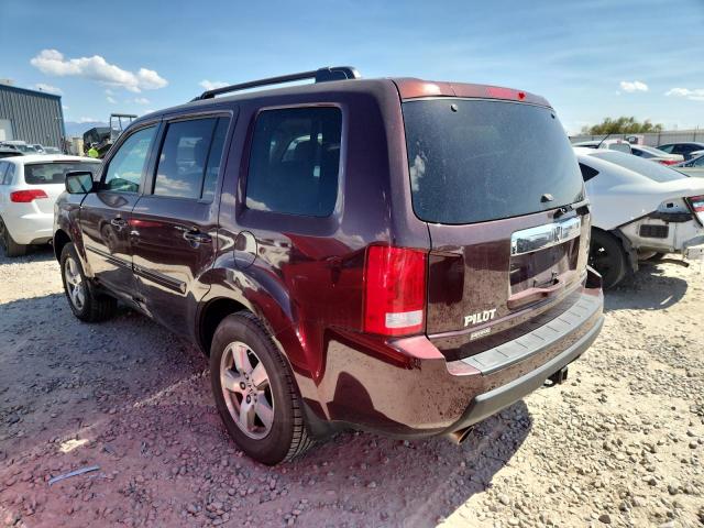 5FNYF48469B032871 - 2009 HONDA PILOT EX 勃艮第红 照片 2