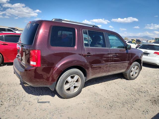 5FNYF48469B032871 - 2009 HONDA PILOT EX 勃艮第红 照片 3
