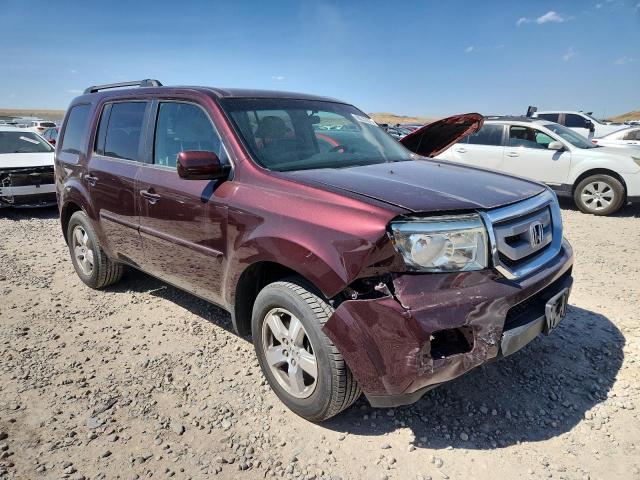 5FNYF48469B032871 - 2009 HONDA PILOT EX 勃艮第红 照片 4