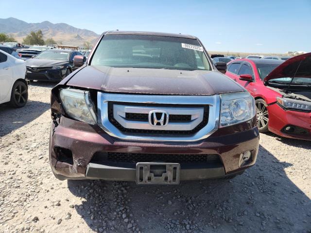 5FNYF48469B032871 - 2009 HONDA PILOT EX 勃艮第红 照片 5