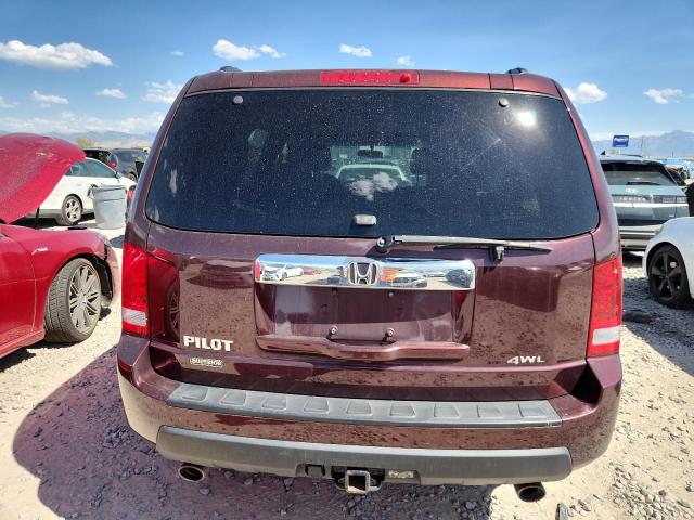 5FNYF48469B032871 - 2009 HONDA PILOT EX 勃艮第红 照片 6