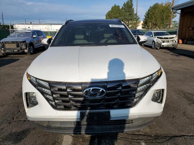 KM8JCCD14RU205905 - 2024 HYUNDAI TUCSON SEL CONVENIENCE WHITE photo 5