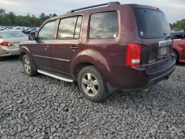 5FNYF4H55AB037573 - 2010 HONDA PILOT EXL 勃艮第红 照片 2