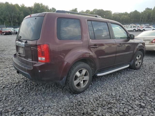 5FNYF4H55AB037573 - 2010 HONDA PILOT EXL 勃艮第红 照片 3