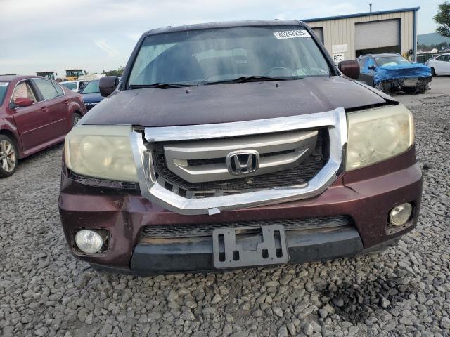 5FNYF4H55AB037573 - 2010 HONDA PILOT EXL 勃艮第红 照片 5