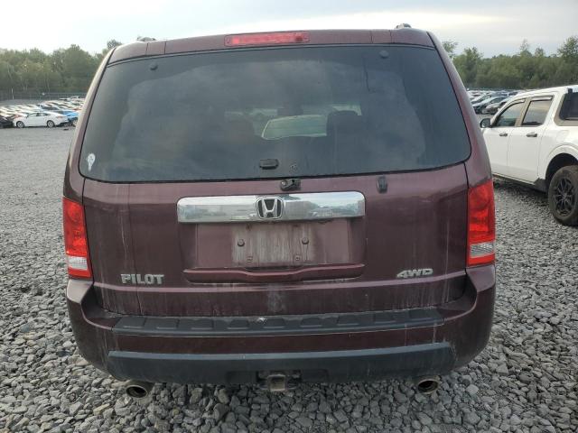 5FNYF4H55AB037573 - 2010 HONDA PILOT EXL 勃艮第红 照片 6