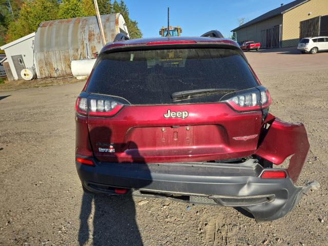 1C4PJMBX0LD656645 - 2020 JEEP CHEROKEE TRAILHAWK 勃艮第红 照片 6