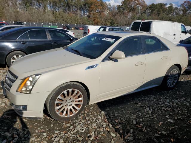 2010 CADILLAC CTS PERFORMANCE COLLECTION, 