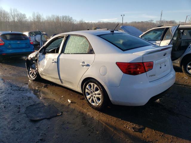 KNAFT4A29C5480830 - 2012 KIA FORTE LX WHITE photo 2