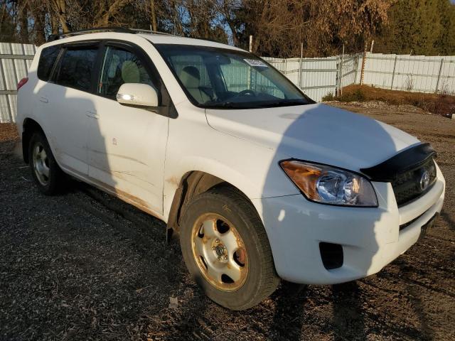 2T3ZF4DV6CW155901 - 2012 TOYOTA RAV4 WHITE photo 4