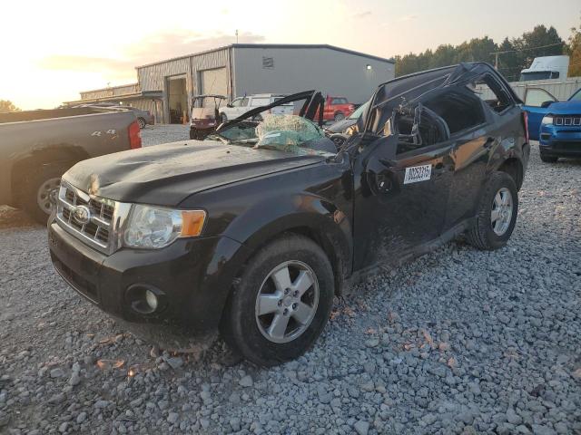 2012 FORD ESCAPE XLT, 