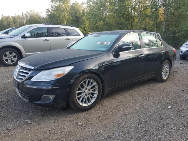2009 HYUNDAI GENESIS 3.8L, 