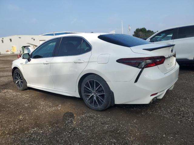 4T1B21HK1MU015261 - 2021 TOYOTA CAMRY XLE WHITE photo 2